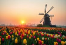 De evolutie van schoonheidsidealen en onze rol daarin